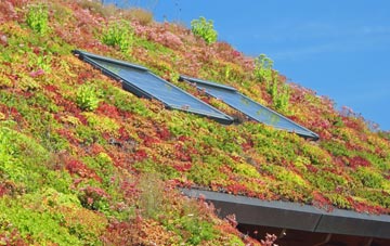 Five Roads living roof systems
